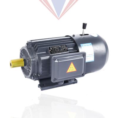 China Waterproof High Quality Yej Series 6/8 Low RPM 220v/380v Pole 3 Phase AC Brake Electromagnetic Asynchronous Motor for sale