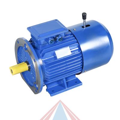 China Totally enclosed 11KW 15KW 22KW 30KW YEJ series 6/8 pole 380v three phase Self-braking electro magnetic brake motor for sale for sale