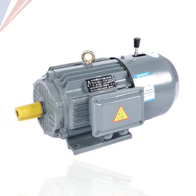 China Yej Series Waterproof Electromagnetic Brake 0.55kw~90kw 2/4 Induction Electric Pole Motor 20kw AC 30kw for sale