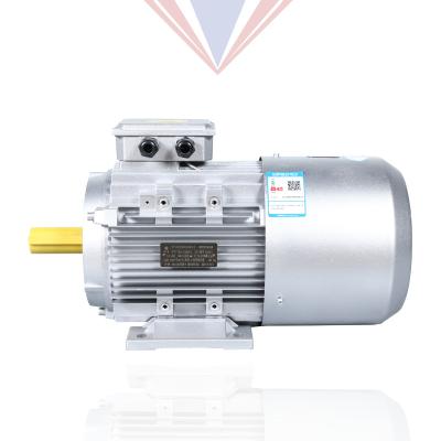 China Yej2 Series Waterproof 6/8 Pole Aluminum Shell Electromagnetic Three-Phase Asynchronous Ac Induction Brake Motor for sale