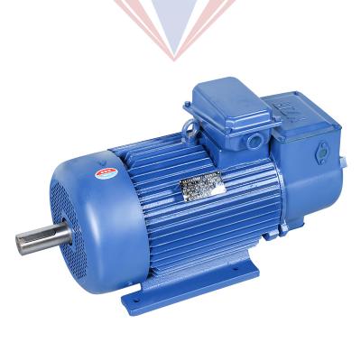 China Waterproof Factory Direct 1.5kw~132kw Yzr 6/8/10 C.A. Crane Slip Ring Pole Wound-Rotor Motor for Crane for sale