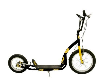 China Youth Popular CE Kids Scooter WS-11 for sale