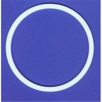 China Custom White Chemical Resistance Teflon Check Ring PTFE Backup Ring with Lubricating Oil for sale