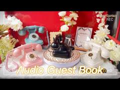 plastic audioguestbook recorder rechargeable battery unlimited storage wedding guest book telephone