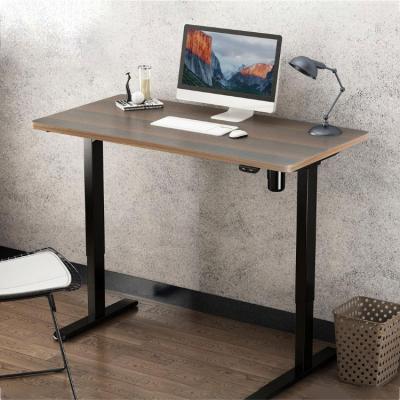 China Adjustable (height) Small Offices SOHO Home Computer Hight Adjustable Writing Table Reeding Room Study Tables Sit Standing Desks for sale