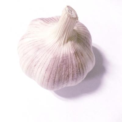 China New Cultivation Garlic Fresh Red Natural Garlic Good Quality White Garlic for sale