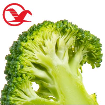 China Newest Fresh Fresh Broccoli Culture Top Quality Broccoli for sale