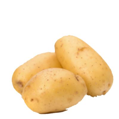 China High quality cheap professional wholesalers price fresh potato fresh export for sale