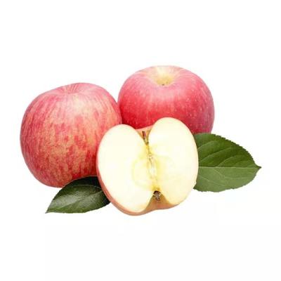 China Fresh Chinese Wholesale High Quality Yantai Red Apple Fresh Fuji Apple for sale