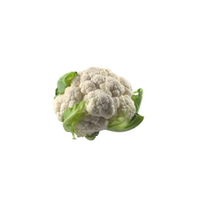 China Fresh Agricultural Fresh Product Cauliflower Fresh Food With Cheap Price for sale