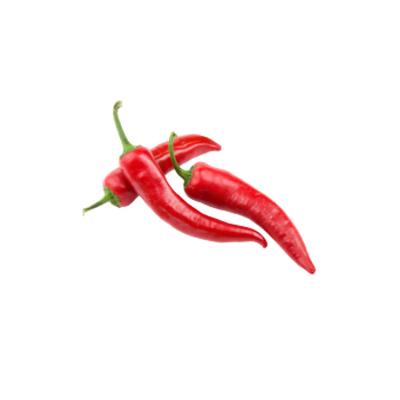 China Best brand fresh high quality supplier for low export price good moq fresh red chillies for sale