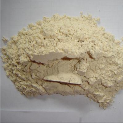 China Factory Supply Dry 100-120 Mesh Dehydrated Garlic Powder for sale