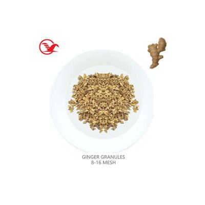 China Ginger Dehydrated Vegetables AD Dry Ground Air Dried Fresh High Quality Dehydrated Ground Ginger for sale