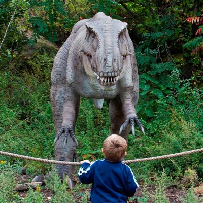 China Realistic Theme Park Dinosaur Realistic Animatronic Dinosaur For Sale for sale