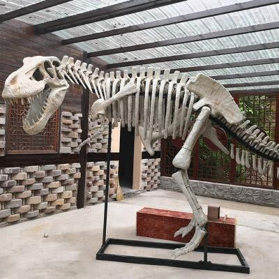 China High assembly science museum equipment emulation dinosaurs skeleton for sale