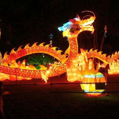 China Theme park festival decoration animal lantern chinese dragon lantern for sale for sale