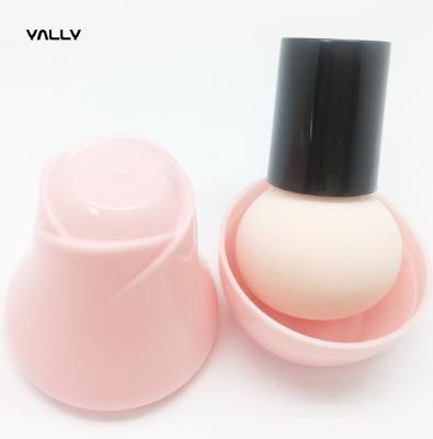 China Wet and Dry Dual Use Mushroom Makeup Sponge beauty blend puff latex free sponge brush in flower plastic case holder for sale