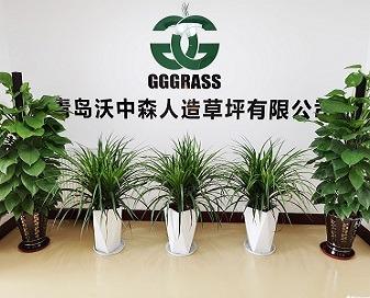 Verified China supplier - Green Ground Grass (qingdao) Co., Ltd.