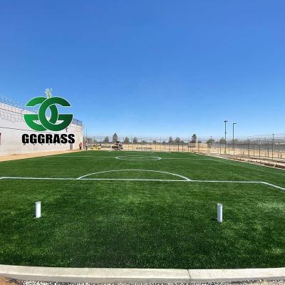 China Football Field Depuy Synthes Tfnadvanced Synthetic Grass Padel Court Roden Fields Fifa 21 Artificial Grass for sale