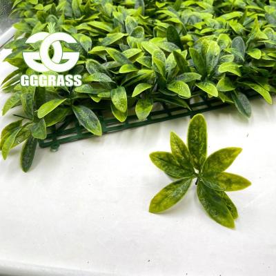 China Indoor Plant Artificial Plastic Vertical Panels Decoration Creeper Boxwood Hedge Moss Grass Leaves Green Wall System For Decoration for sale