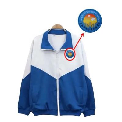 China 3D china Quality Assurance Fashion Custom 3D Logo hangover patch woven embroidered school uniform badges for sale