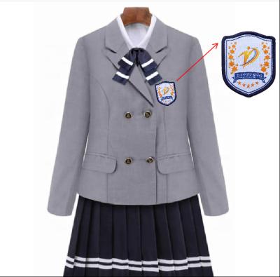 China 3D Wholesale Custom Embroidery Patches Applique University Uniform Patches School Uniform College Patch Badge for sale