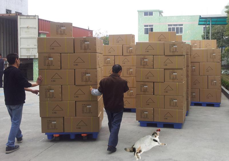 Verified China supplier - Guangzhou One Cat Import And Export Co., Ltd.