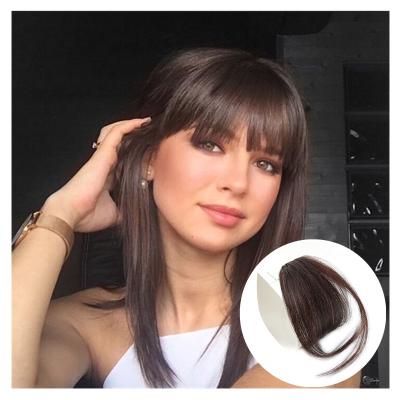 China 100% Virgin Human Hair Flat Bangs With Temple Hair Bangs Clip-in Hair Extension Thin Flat Bangs With Temple For Girls Wig for sale