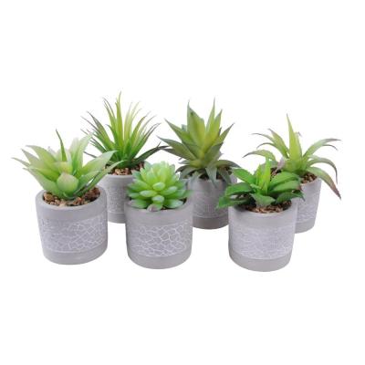 China Wholesale Lifelike Artificial Unpotted Live Succulent Plants Eco - Friendly DIY Assorted Artificial For Home Decor for sale