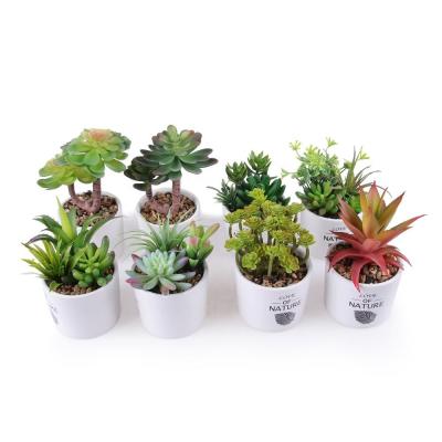 China 2020 New Assorted Succulent Artificial Succulent Plants Eco-Friendly Decorative Faux Cacti for sale