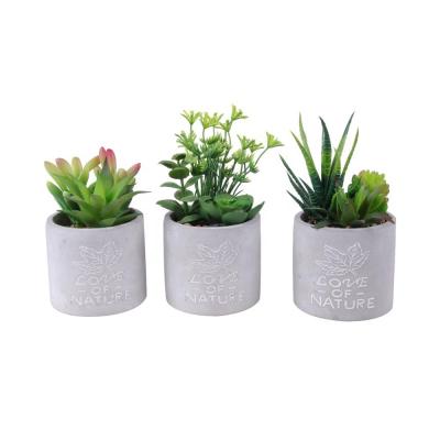 China Hot Sale Eco-friendly Plant Mini Succulent Plants For House Artificial Potted Succulent Decoration for sale