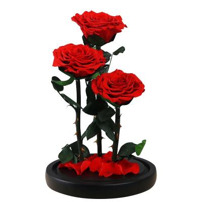 China Wholesale Fashional Real Preserved Fresh Preserved Flower Roses In Glass Dome Tubes for sale