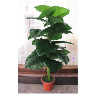 China Fashional Size 100cm Artificial Scindapsus BonsaiTree Golden Evergreen Ornamental Plant With Leaf Green Stripe Round Leaf for sale