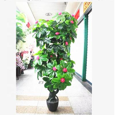 China Fashional Most Popular Plastic Indoor Goods Artificial Money Tree Plant for sale