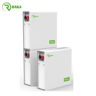 China High quality consumer electronics 5KWH lifepo4 51.2v 100ah lithium iron phosphate battery pack with bms for sale