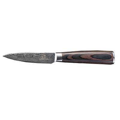 China Hot Selling Viable 3.5 Inch Damascus Fruit Paring Knife for sale