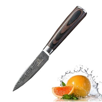 China 2019 viable hot sale 3.5 inch damascus fruit paring knife for sale