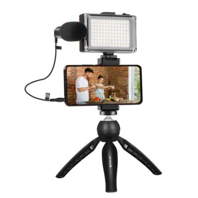 China PULUZ Mini Live Broadcast Smartphone Video Light Vlogger Kits with Microphone + LED Light + Tripod Mount + Phone Clamp Holder for sale