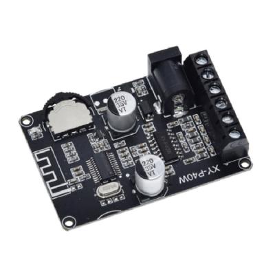 China 30W/40W Stereo PCB Board Power Amplifier Plate 12V/24V High Power Digital Power Supply Module Bare Plate for sale