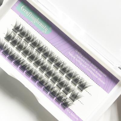 China Hotselling Synthetic Hair Dovetail Segmented Lash Extensions DIY Pre-Cut Segmented Segment Lash Kits Self Grafting Group for sale