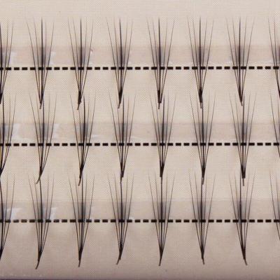 China Premade Delicate Bulk Packaging 5d 6d Mega Volume Fans Russian Lashes Extensions for sale