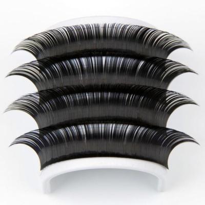 China Delicate OEM Factory Wholesale Korean Makeup Premium Thick False Eyelash Long Female Extensions for sale