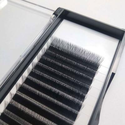 China Natural Good Quality Logo Easy Fan Blooming Stable Custom Vegan Soft Long Eyelash Extension Korean Supplies for sale