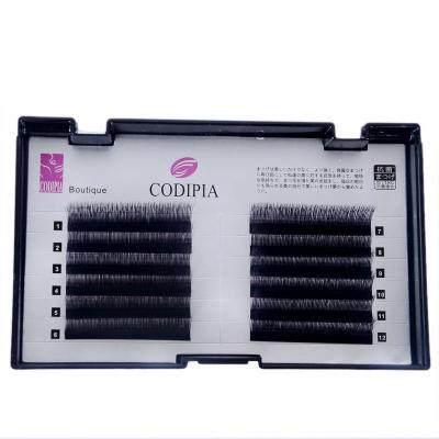 China Private Label Super Soft High Quality Permanent Volume Multilayers Bulk Silk Eyelash Extensions for sale