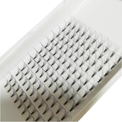 China Grade Premade Fan Eyelash Extension 3d 4d 5d Premade Fans Natural Soft Top Eyelash for sale