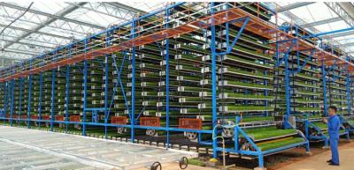 China W-Frame Upward Circulating Vegetable Seedlings Cultivating Machine for Vertical Farm for sale