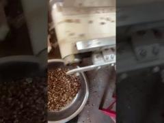 Almond color sorter