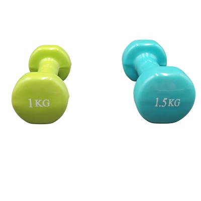 China Customizable Cheap Price Eco - Friendly Factory Discount Well - Design Elevated Dumbbell for sale