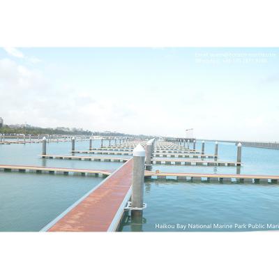 China Marina facilities Aluminum Pontoon Boat floating platform,Dry Dock/sea plane Berth en venta