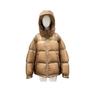 China 2023 wholesale custom Anti-wrinkle women stripper jacket plus size women bubble coat winter coats for women for sale